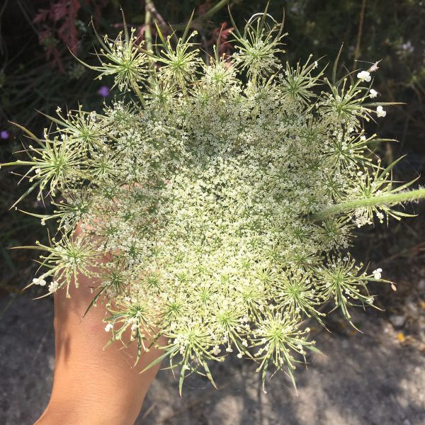 0515cb4a-bf41-4128-a69e-1233dfa956bd