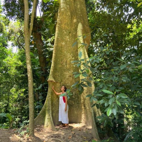 77df1021-78dd-4c5e-805c-006db3551a2f