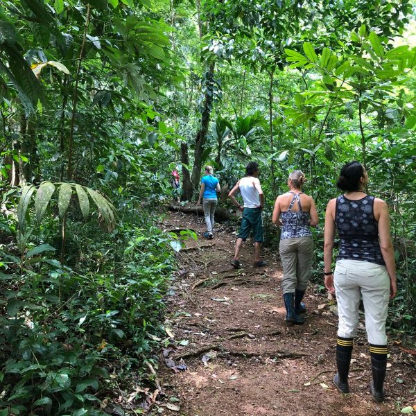 b2b067e4-40ec-4059-a461-376fe84fd486