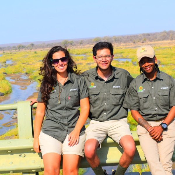 e78be039-180f-48d9-bfe4-1efe29fb206a